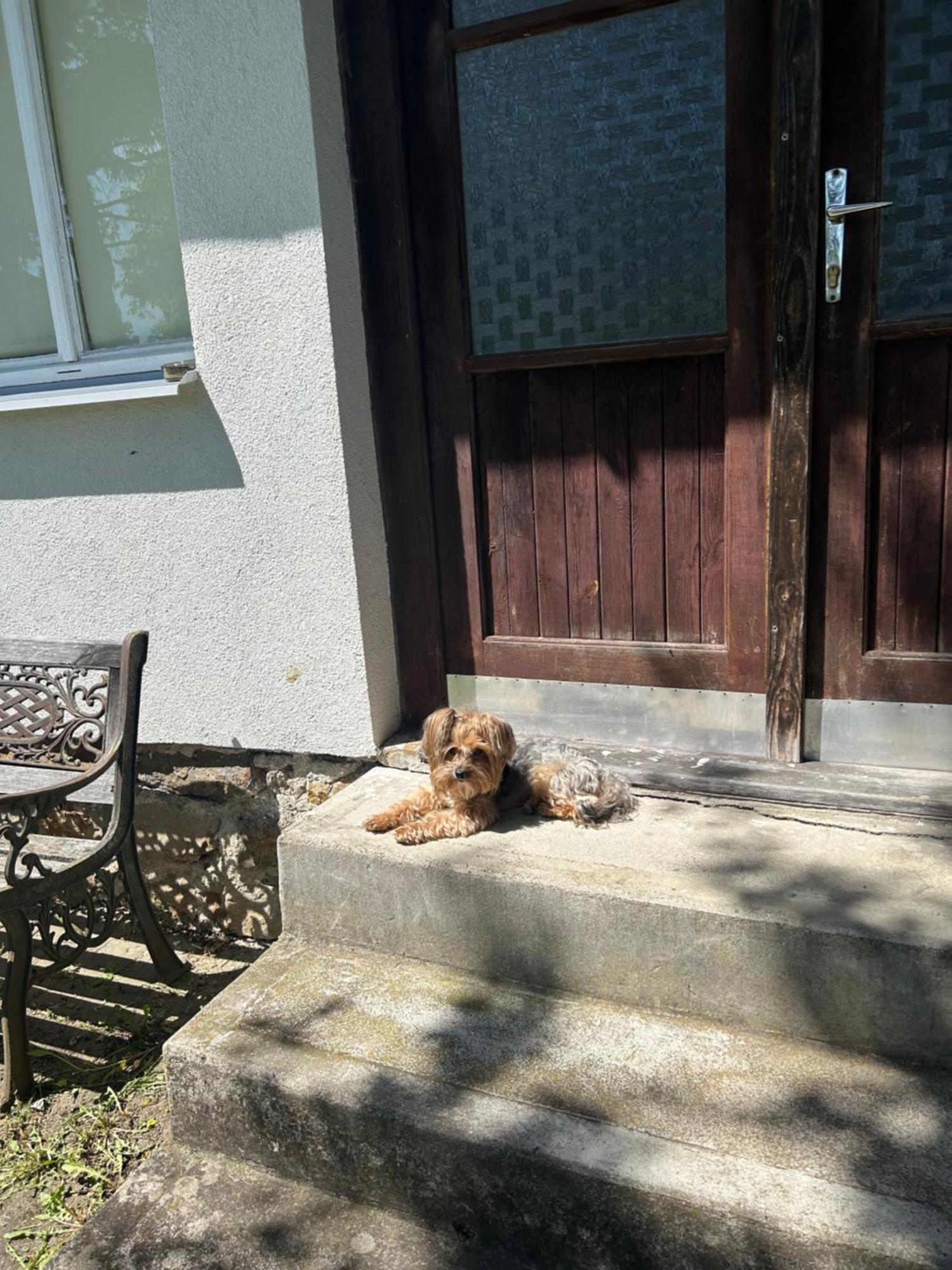 Prijemna Chaloupka Na Trebonsku Villa Chlum u Trebone Eksteriør billede